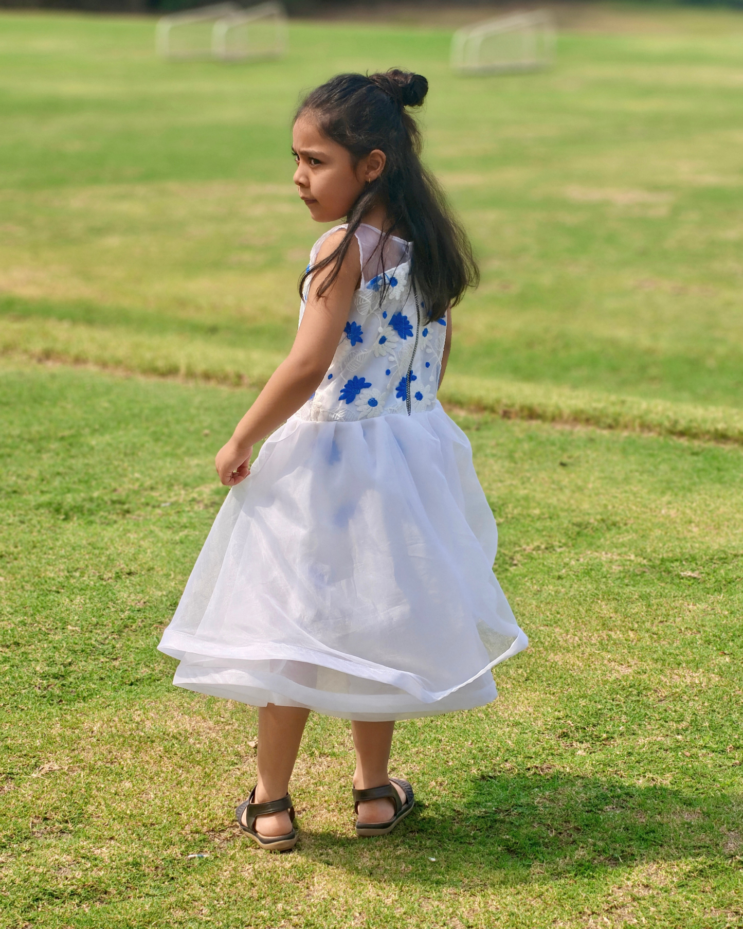 Blue Daisy Fairy Dress