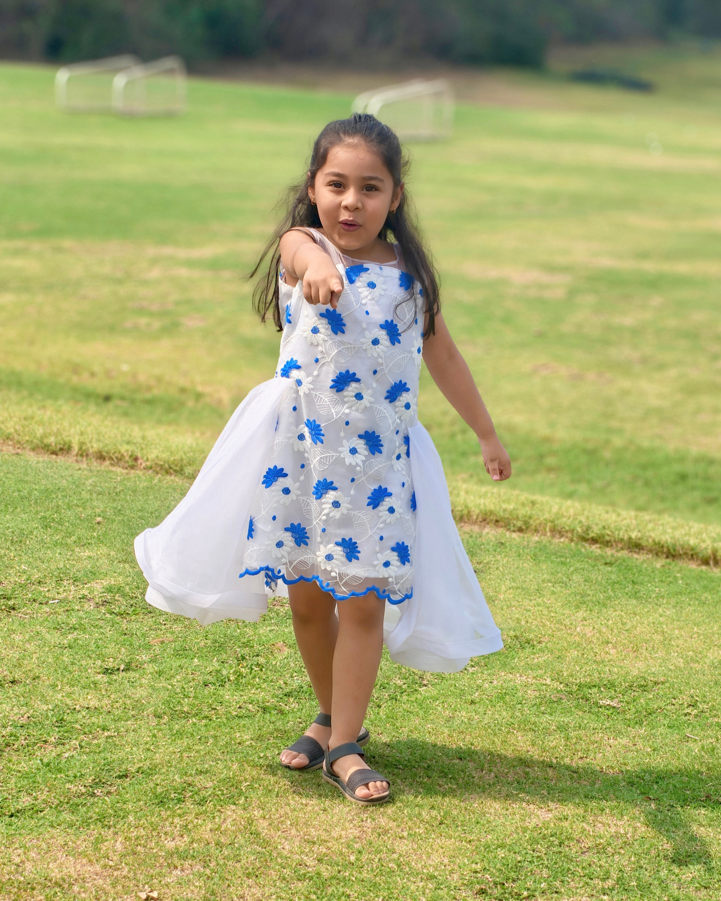 Blue Daisy Fairy Dress
