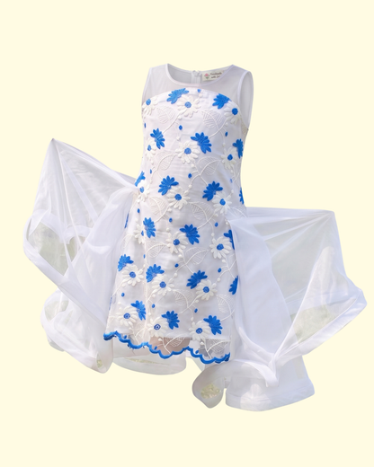 Blue Daisy Fairy Dress